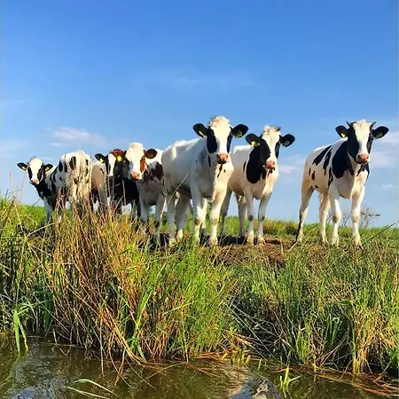 Romantic Dutch Hideaway Dom wakacyjny *