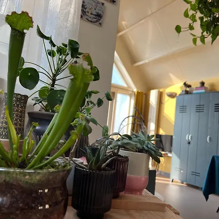 Dom wakacyjny Romantic Dutch Hideaway Jisp