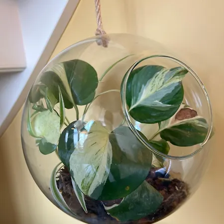 Romantic Dutch Hideaway Dom wakacyjny *