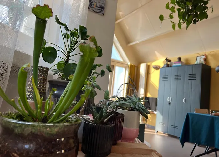 Сasa de vacaciones Romantic Dutch Hideaway Jisp