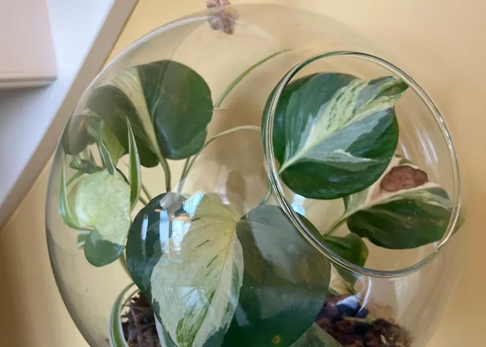 Romantic Dutch Hideaway 펜션 *