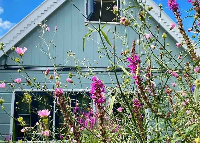 Romantic Dutch Hideaway