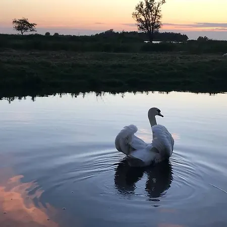 Romantic Dutch Hideaway Hébergement de vacances