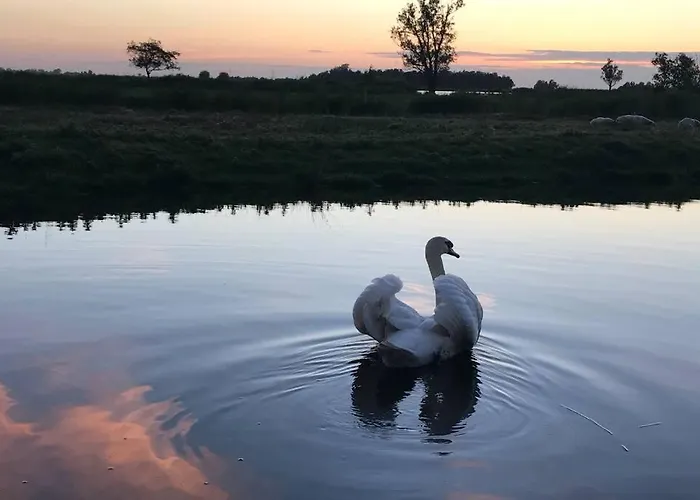 Romantic Dutch Hideaway 펜션